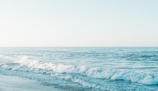 ほんの少し盛り返してきました